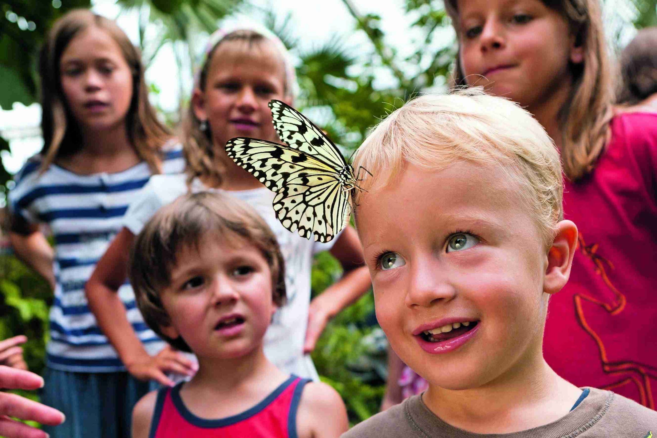 Fondation Papiliorama